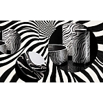 Редкое коллекционное издание Casa Cavalli Home: Celebrating the Roberto Cavalli Lifestyle Зебра варинант исполнения - 4 | Loft Concept в Твери