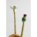 Статуэтка тропический фрукт Pandora Tropical Fruit Orange Two Flowers варинант исполнения - 2 | Loft Concept в Твери