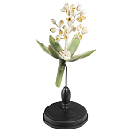 Статуэтка Wonderboom варинант исполнения - 2 | Loft Concept в Твери