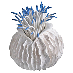 Статуэтка тропический фрукт Tropical Fruit White Blue варинант исполнения - 2 | Loft Concept в Твери