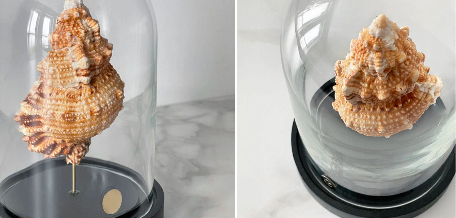Статуэтка Bursa Rubeta Glass Cloche Статуэтка Bursa Rubeta Glass Cloche - Loft-Concept в Твери