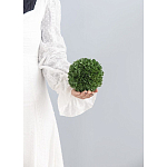 Декоративный искусственное растение Small boxwood варинант исполнения - 3 | Loft Concept в Твери