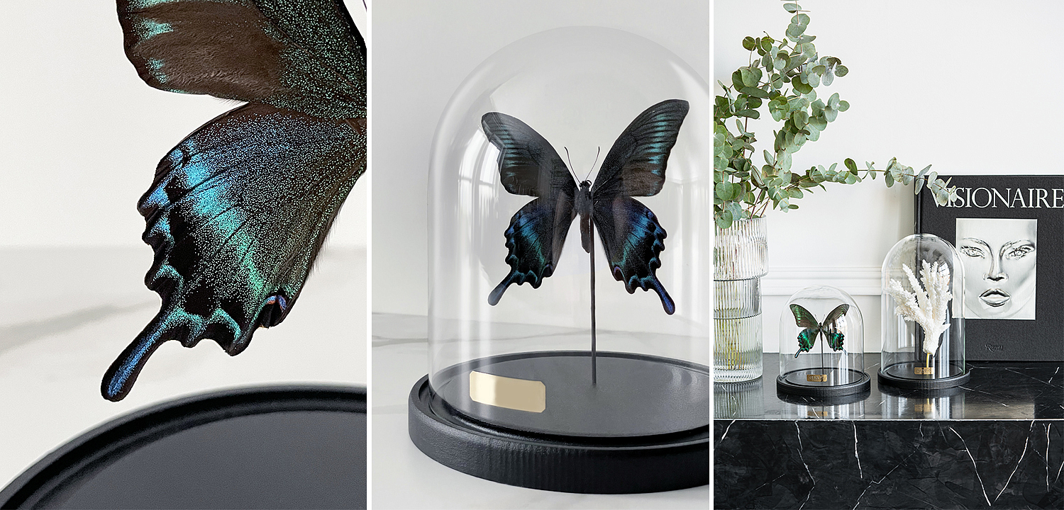 Статуэтка Butterfly Sailboat Maaka Glass Cloche Статуэтка Butterfly Sailboat Maaka Glass Cloche - Loft-Concept в Твери