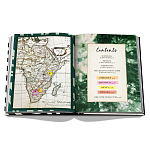 Подарочнный коллекционный фото альбом AFRICAN ADVENTURES NEW 2023 ASSOULINE HC UNBELIEVABLE ILLUSTRATIONS Safari варинант исполнения - 4 | Loft Concept в Твери