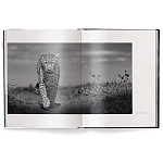 Книга Beusker. Look into my Eyes варинант исполнения - 1 | Loft Concept в Твери