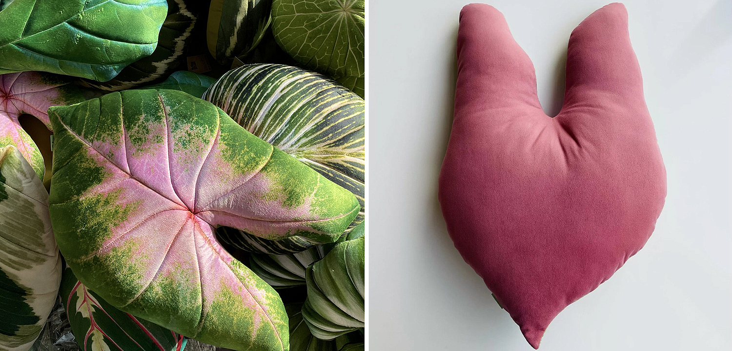 Декоративная подушка Botanical Cushion Caladium Bicolor Декоративная подушка Botanical Cushion Caladium Bicolor - Loft-Concept в Твери