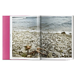 Книга Gisele Bundchen варинант исполнения - 9 | Loft Concept в Твери