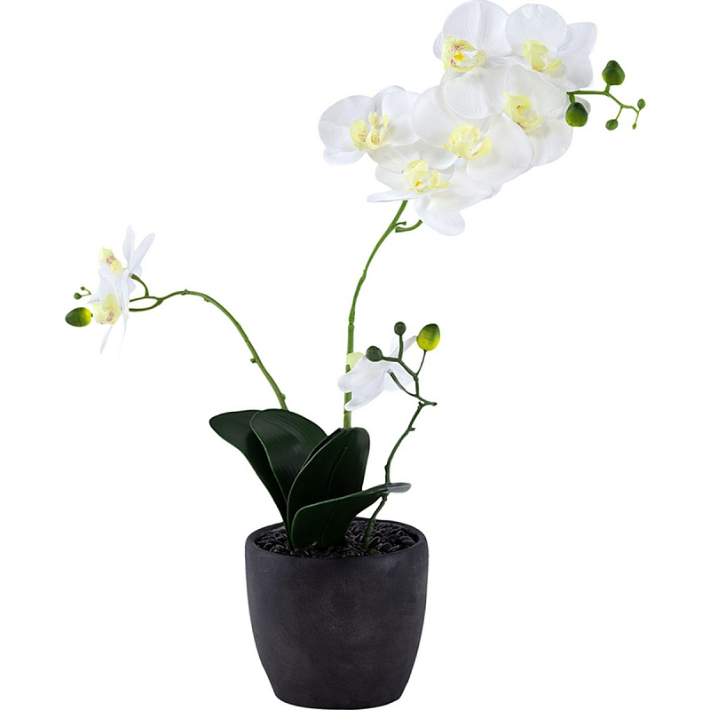 Декоративный искусственное растение Angel Orchid Зеленый Белый Бежевый Декоративный искусственное растение Angel Orchid Зеленый Белый Бежевый в Твери | Loft Concept