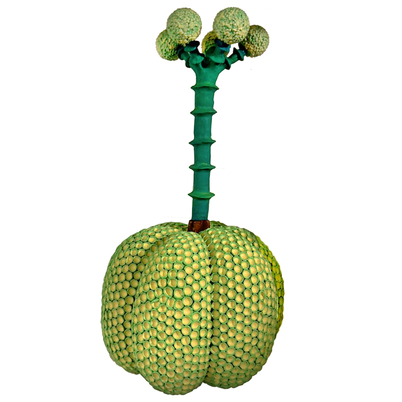 Статуэтка Зеленый тропический фрукт Pandora Tropical Light Green 69 Салатовый Мульти в Твери | Loft Concept 