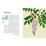 Прекрасно иллюстрированная книга более 100 ботанических произведений Plant Hunters Atlas варинант исполнения - 4 | Loft Concept в Твери