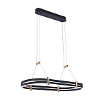 Люстра светодиодная в форме овала из акрила и алюминия с пультом для регулировки света Ring Horizontal Anthracite варинант исполнения - 2 | Loft Concept в Твери