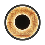 Бра круглое Gold Sun Lighting  варинант исполнения - 1 | Loft Concept в Твери