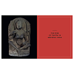 Книга Tantra: Enlightenment to Revolution варинант исполнения - 5 | Loft Concept в Твери