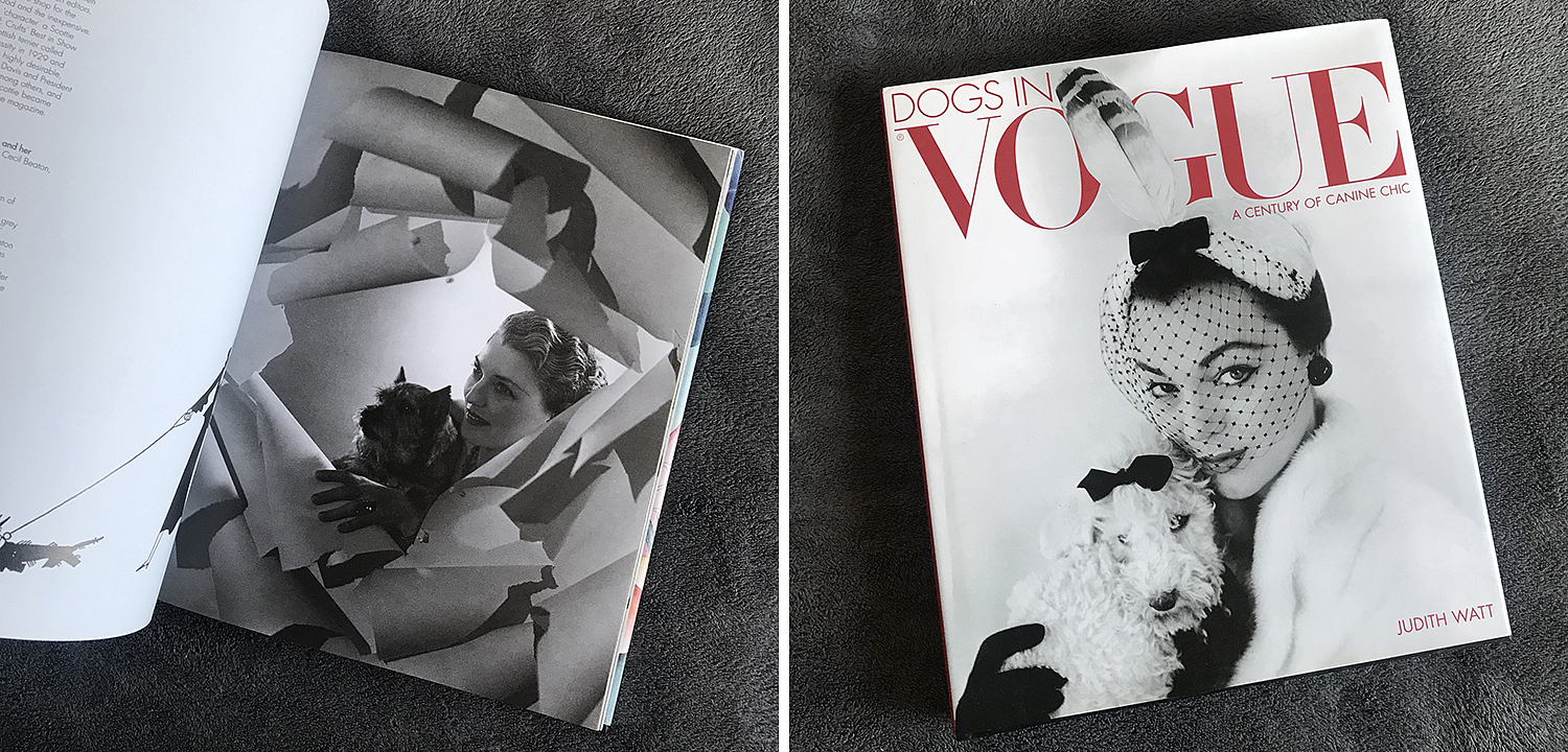 Dogs in Vogue A Century of Canine Chic - Loft-Concept в Твери