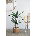 Декоративный искусственное растение Decor Stile  варинант исполнения - 5 | Loft Concept в Твери