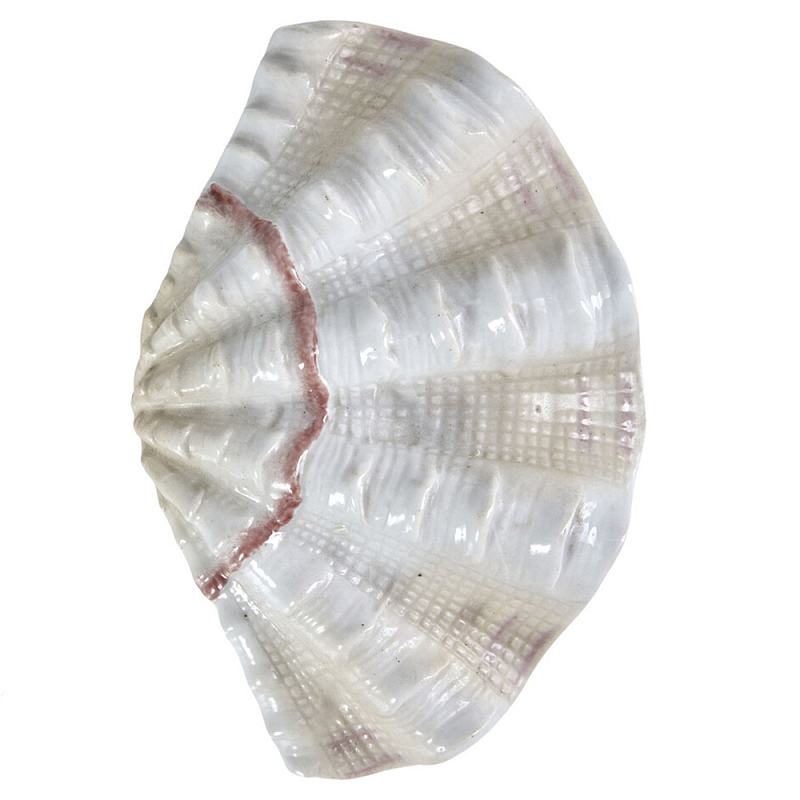 Фигурка из фарфора в виде одной створки ракушки Marine Tridacna Белый Бежевый Коричневый в Твери | Loft Concept 