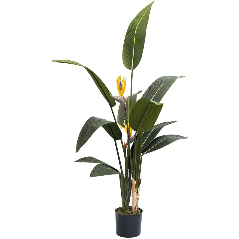 Искусственная Strelitzia Reginae Зеленый Искусственная Strelitzia Reginae Зеленый в Твери | Loft Concept