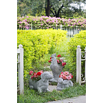 Кашпо The self-confident swan варинант исполнения - 8 | Loft Concept в Твери