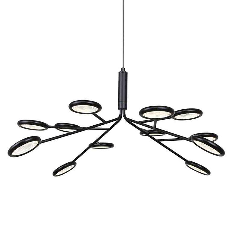 Люстра черного цвета с 12-ю круглыми плафонами Bendik Lighting Прозрачный Черный Люстра черного цвета с 12-ю круглыми плафонами Bendik Lighting Прозрачный Черный в Твери | Loft Concept