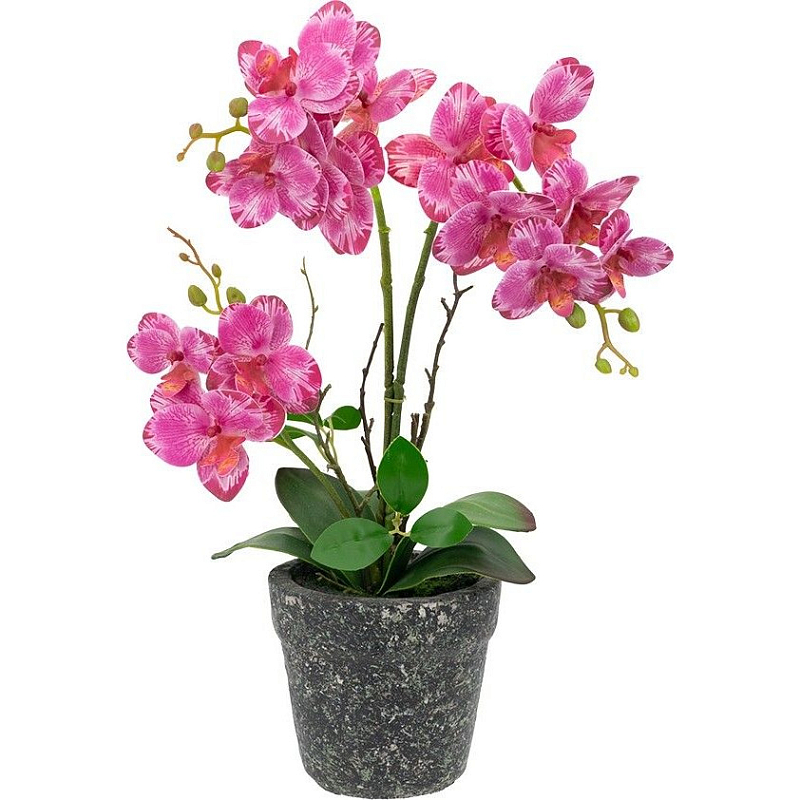 Декоративный искусственное растение Pink orchid Зеленый Черный Розовый Декоративный искусственное растение Pink orchid Зеленый Черный Розовый в Твери | Loft Concept